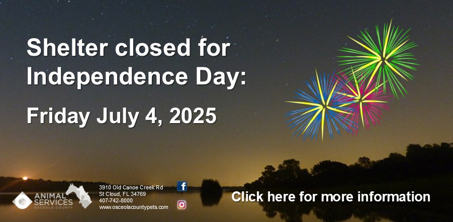 July 4 2025 shelter closed slider and link to 7/4 safety