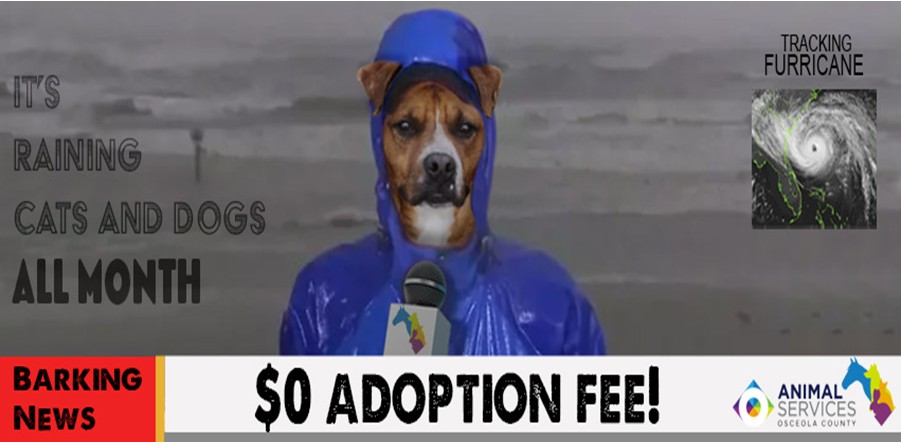 Furricane adoption event
